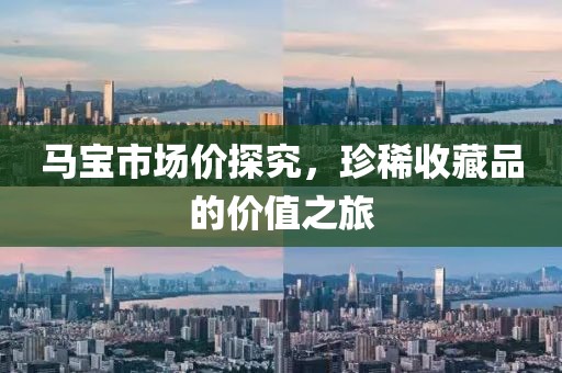马宝市场价探究，珍稀收藏品的价值之旅