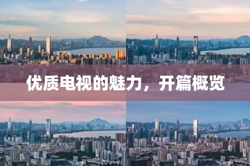 优质电视的魅力，开篇概览