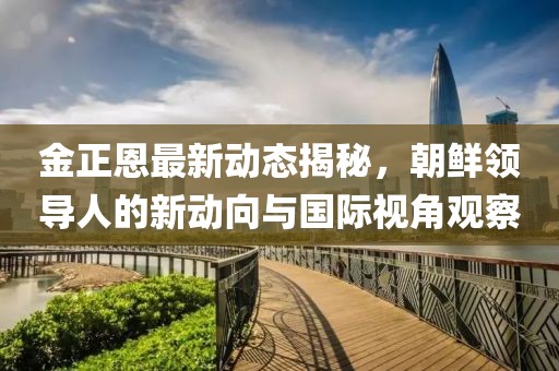 金正恩最新动态揭秘，朝鲜领导人的新动向与国际视角观察