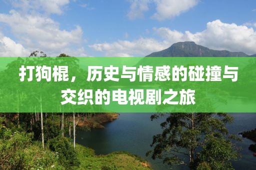 打狗棍，历史与情感的碰撞与交织的电视剧之旅