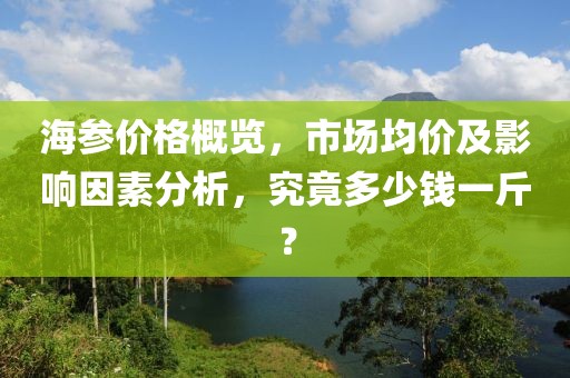 海参价格概览，市场均价及影响因素分析，究竟多少钱一斤？