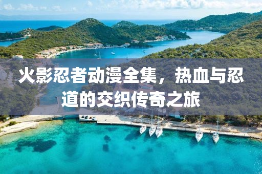 火影忍者动漫全集，热血与忍道的交织传奇之旅