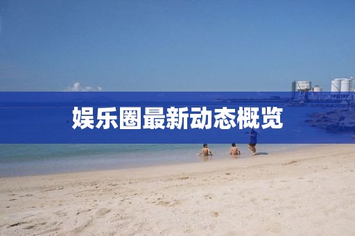 娱乐圈最新动态概览