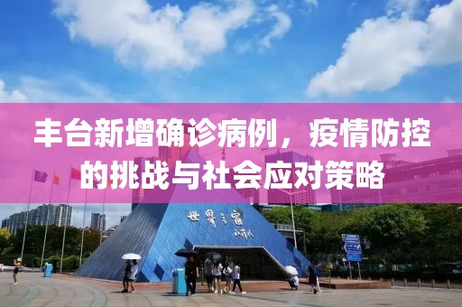 丰台新增确诊病例，疫情防控的挑战与社会应对策略