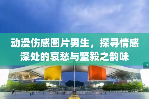 动漫伤感图片男生，探寻情感深处的哀愁与坚毅之韵味