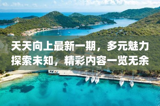 天天向上最新一期，多元魅力探索未知，精彩内容一览无余