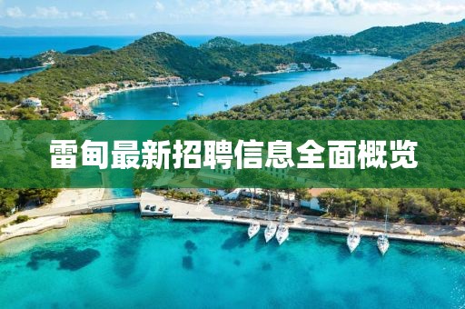 雷甸最新招聘信息全面概览