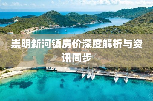 崇明新河镇房价深度解析与资讯同步