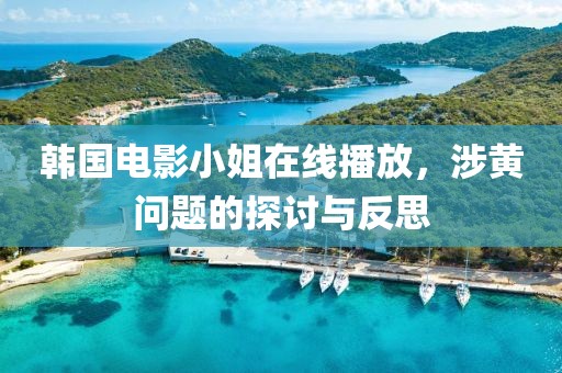 韩国电影小姐在线播放，涉黄问题的探讨与反思