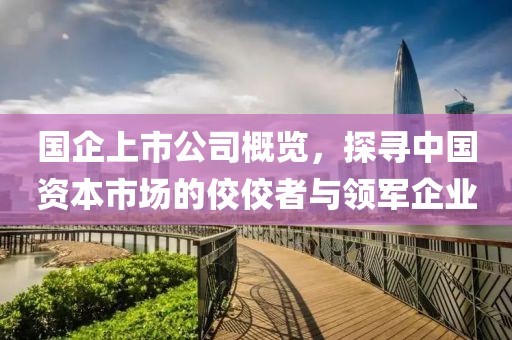 国企上市公司概览，探寻中国资本市场的佼佼者与领军企业