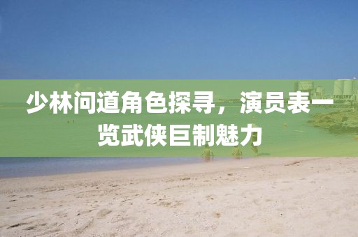 少林问道角色探寻，演员表一览武侠巨制魅力