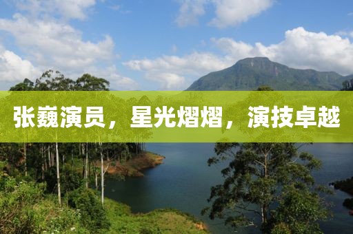 张巍演员，星光熠熠，演技卓越