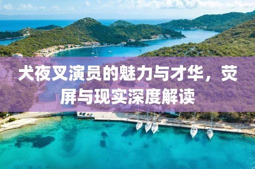犬夜叉演员的魅力与才华，荧屏与现实深度解读