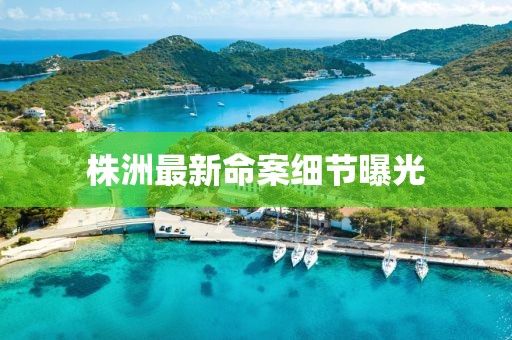 给你一口 第12页