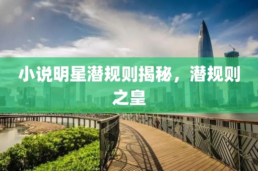 小说明星潜规则揭秘，潜规则之皇