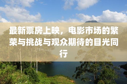 最新票房上映，电影市场的繁荣与挑战与观众期待的目光同行