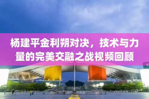 杨建平金利朔对决，技术与力量的完美交融之战视频回顾