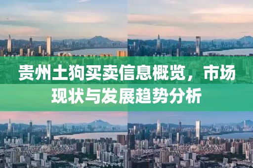 贵州土狗买卖信息概览，市场现状与发展趋势分析