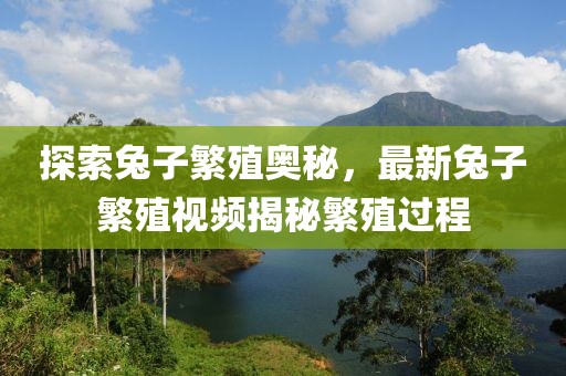 探索兔子繁殖奥秘，最新兔子繁殖视频揭秘繁殖过程