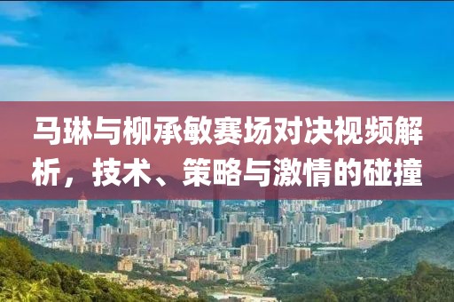 马琳与柳承敏赛场对决视频解析，技术、策略与激情的碰撞
