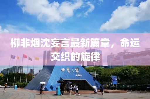 柳非烟沈妄言最新篇章，命运交织的旋律