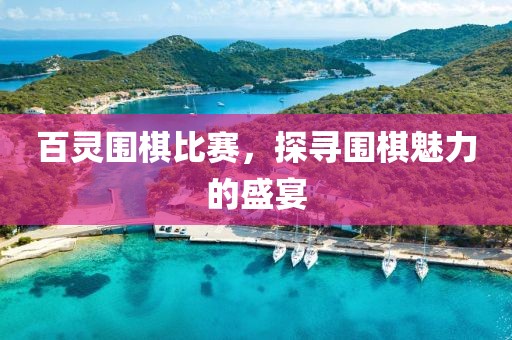 百灵围棋比赛，探寻围棋魅力的盛宴