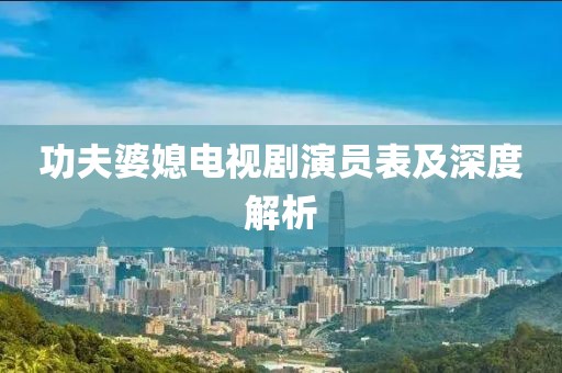 功夫婆媳电视剧演员表及深度解析