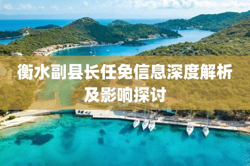 衡水副县长任免信息深度解析及影响探讨