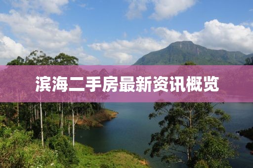 滨海二手房最新资讯概览