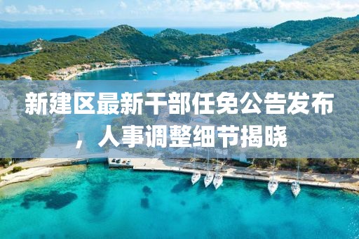 新建区最新干部任免公告发布，人事调整细节揭晓
