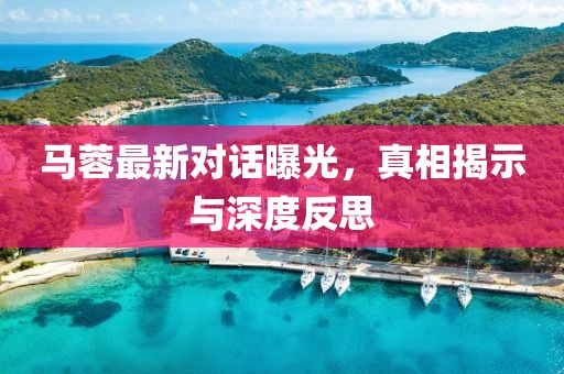 马蓉最新对话曝光，真相揭示与深度反思