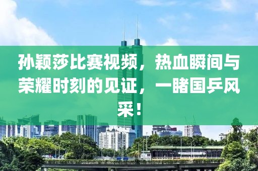 孙颖莎比赛视频，热血瞬间与荣耀时刻的见证，一睹国乒风采！