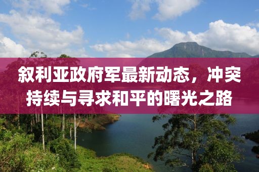 叙利亚政府军最新动态，冲突持续与寻求和平的曙光之路