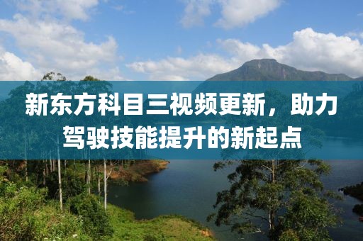 新东方科目三视频更新，助力驾驶技能提升的新起点