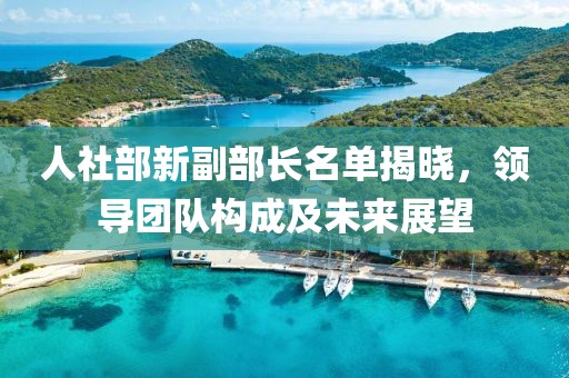人社部新副部长名单揭晓，领导团队构成及未来展望