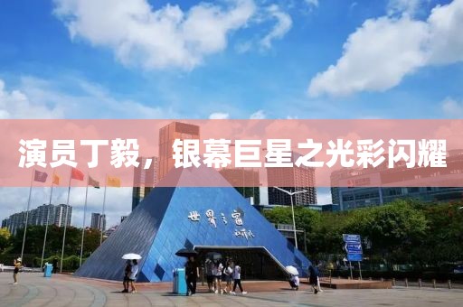演员丁毅，银幕巨星之光彩闪耀