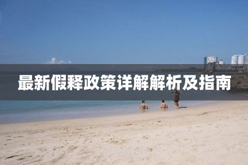 最新假释政策详解解析及指南