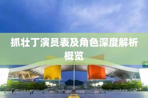 抓壮丁演员表及角色深度解析概览