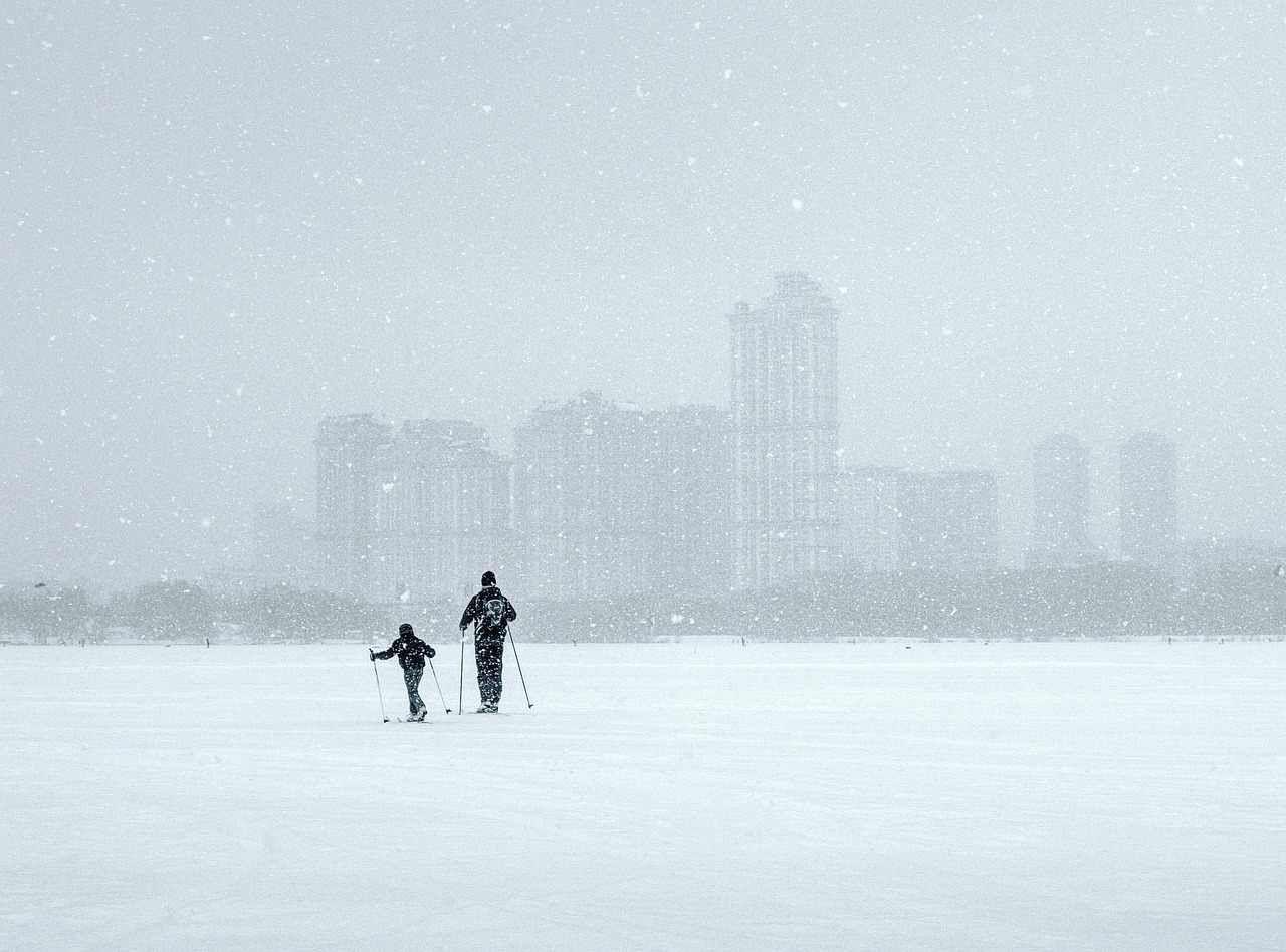 滑雪冒险最新版，冰雪世界的极致探索体验