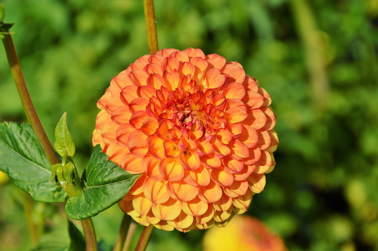 7777788888新澳门开奖2024年，寒花晚节 722.911