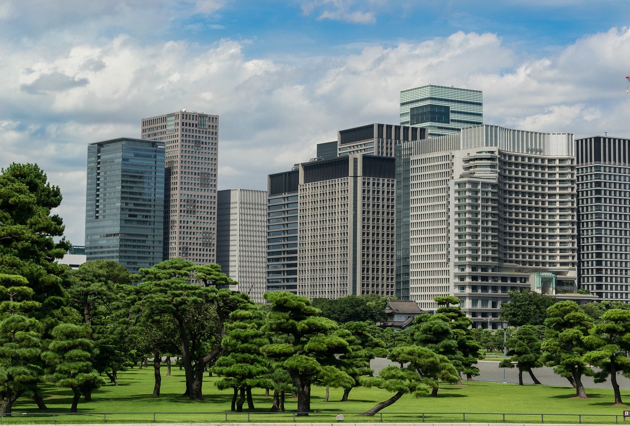 新蔡在售新楼盘，探索现代城市的理想居住空间