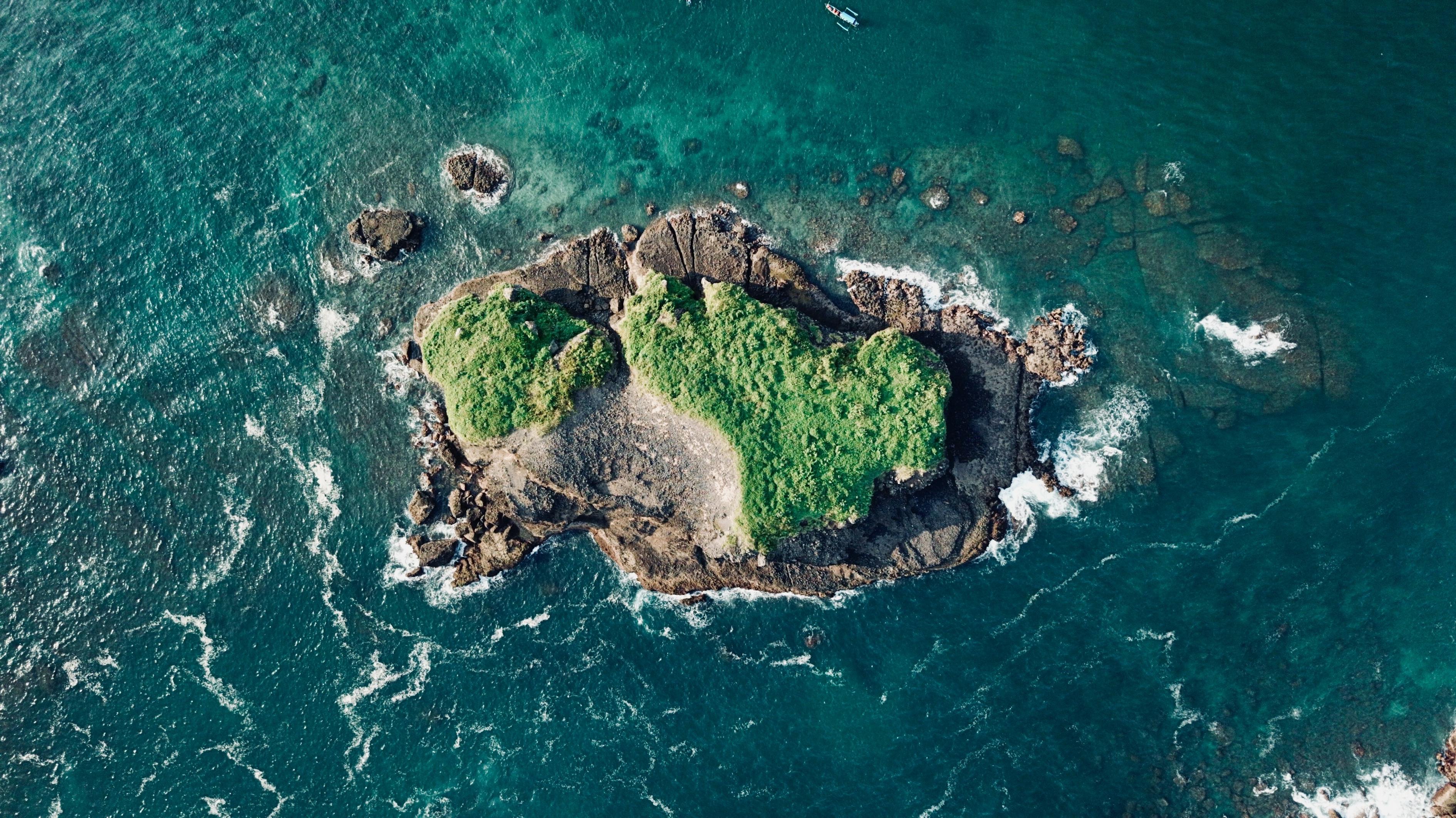 斗鲨电影，惊心动魄的海洋冒险之旅全程回顾