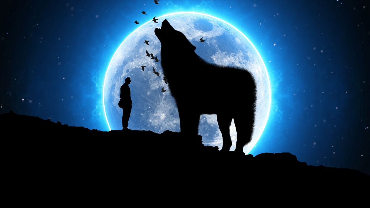鄂尔多斯明星璀璨光芒，照亮草原的璀璨之星