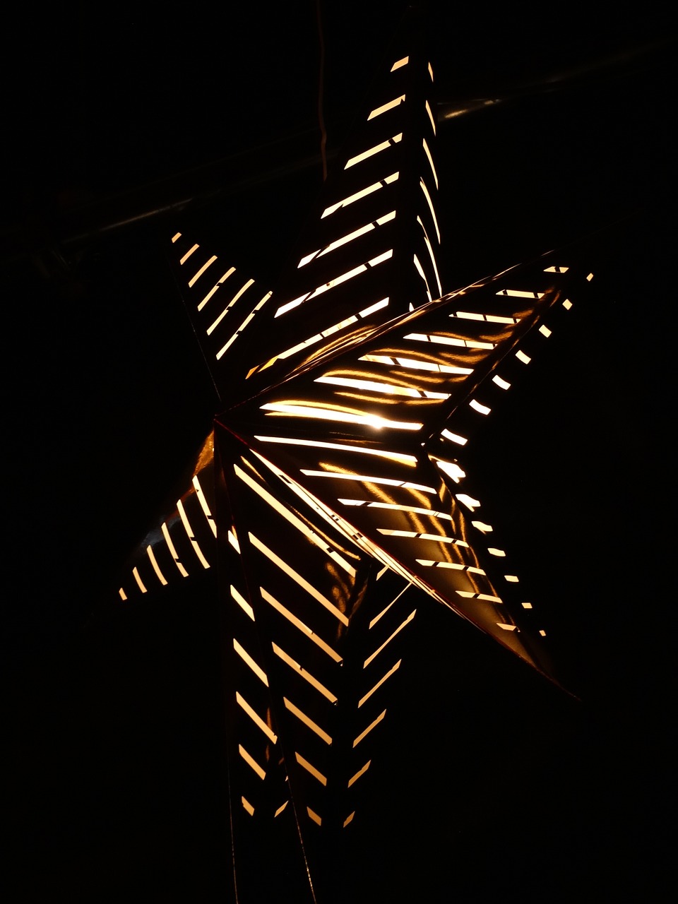 散打明星，璀璨武术世界的闪耀之星