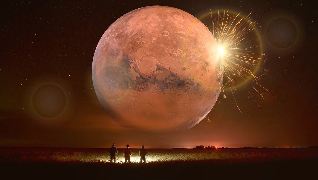 国内武打明星的崛起与璀璨星辰影响力