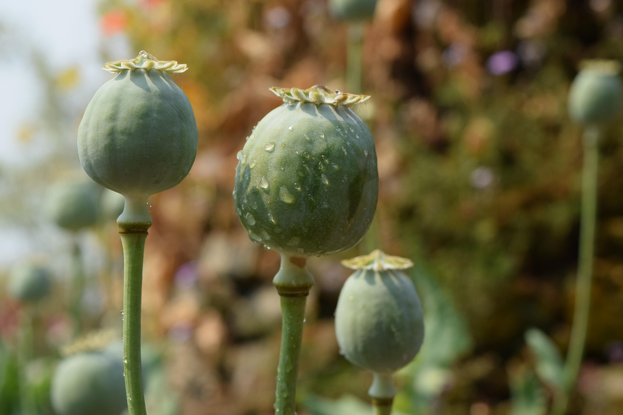 新余最新资讯概览，最新动态一网打尽