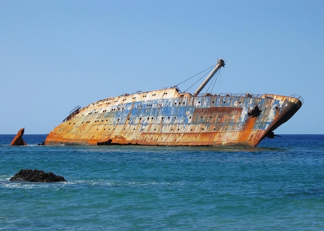 海洋生物股票，探索海洋经济的蓝色潜力之旅