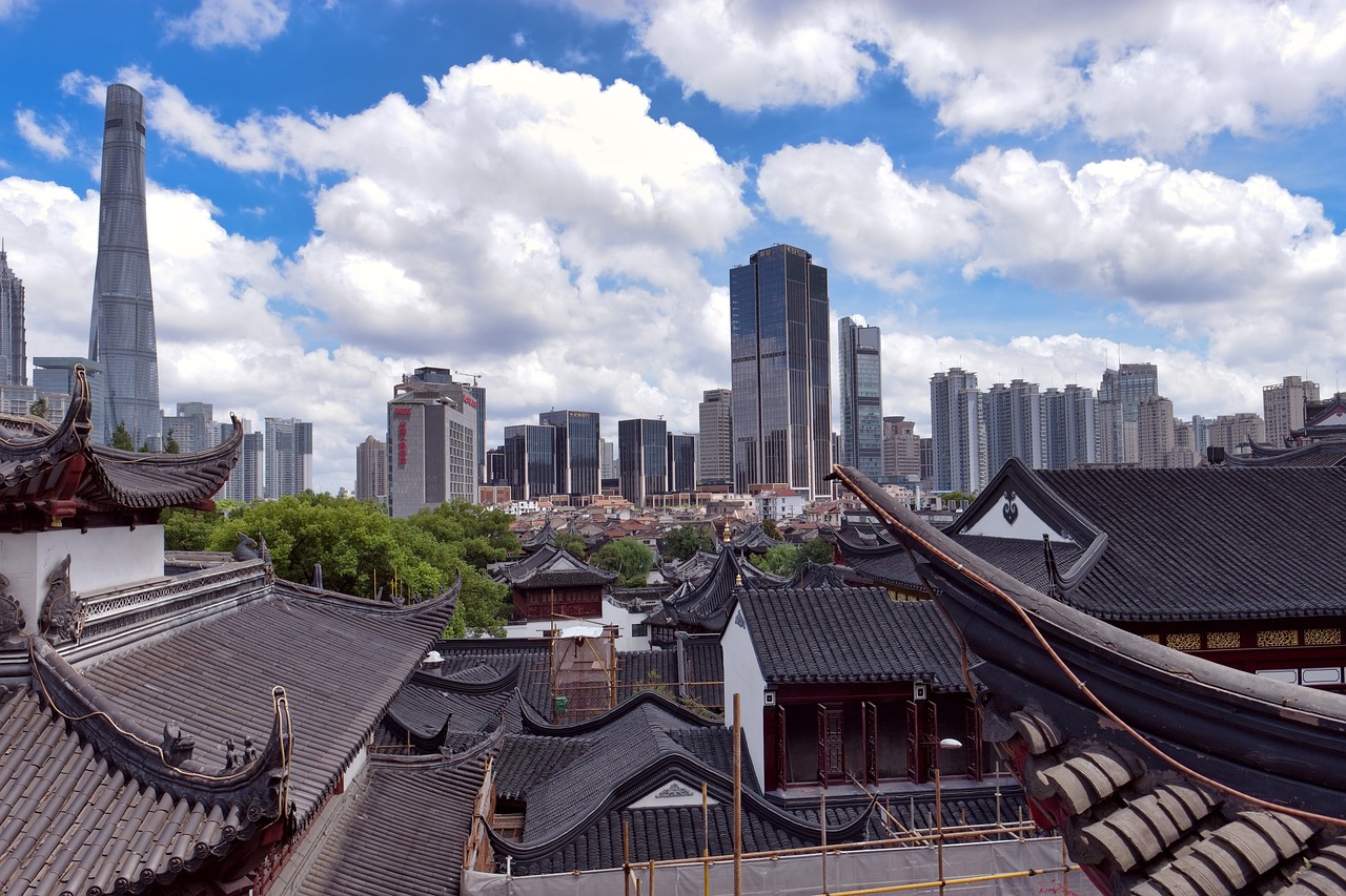 听闻白兰鸽 第4页