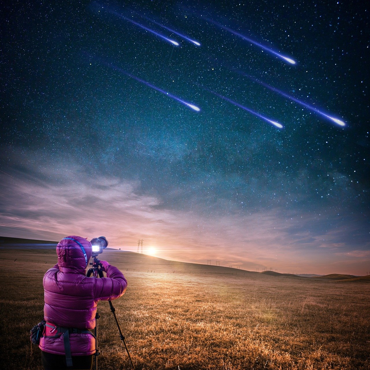 短腿明星，星光熠熠的魅力之旅