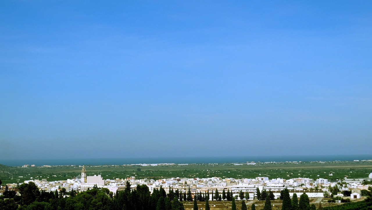 佛山三水楼盘最新售价概览及市场动态分析